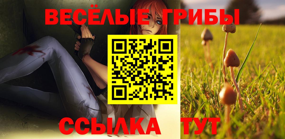 Псилоцибиновые грибы мицелий Великий Устюг